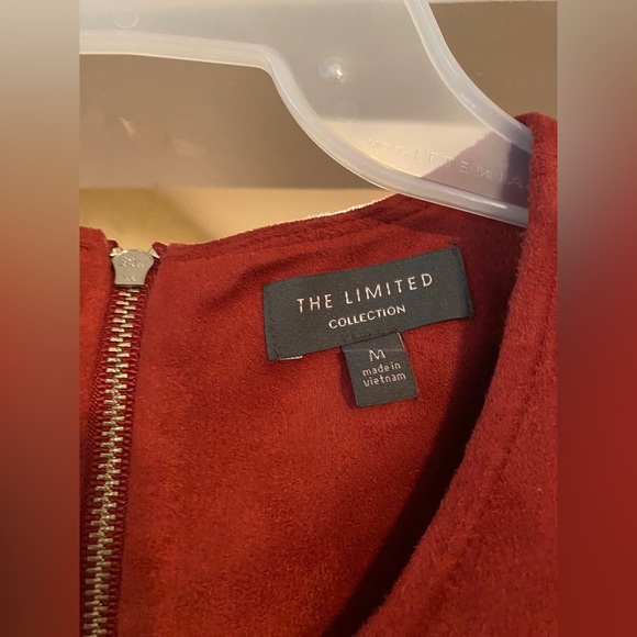 The Limited suede dress - Medium - Picture 5 of 5
